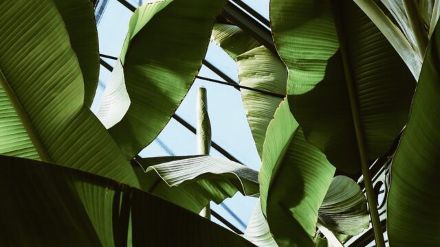 maurits-bausenhart-LURfLLNNWvQ-unsplash